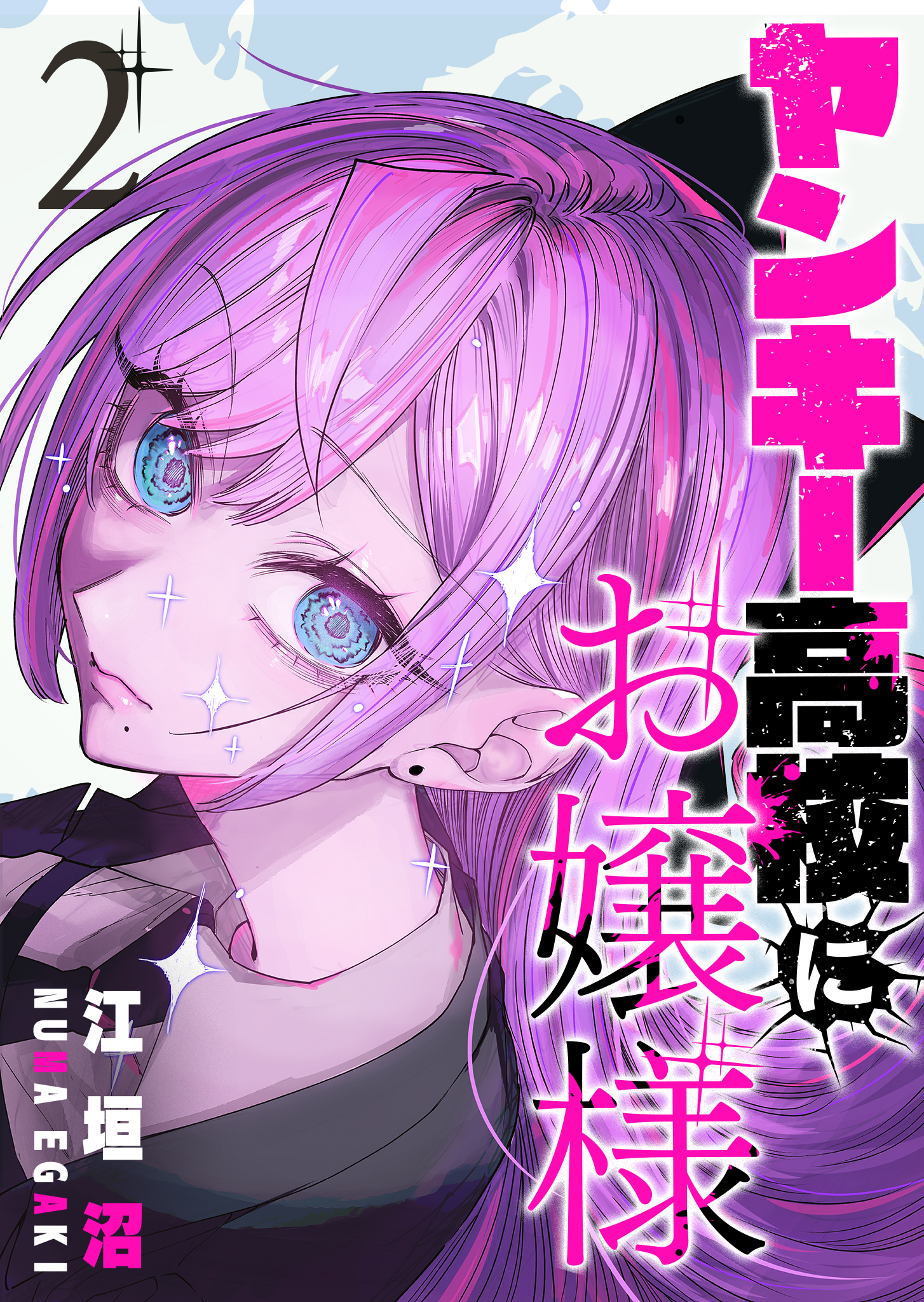 Yankee Koukou ni Ojou-sama